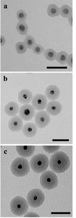 Fig. 9.5: TEM images of Gold-silica inverse opals. The core dimension is ~15 nm and the silica shells are around 8, 18 and 28 nm, respectively.