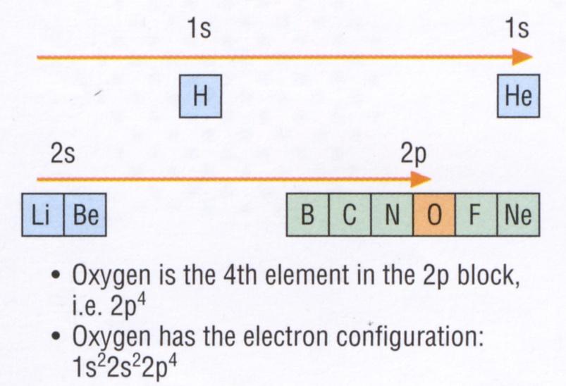 lectron configuration from the Periodic Table lement lectron configuration B 1s s p 1 C 1s s p N 1s s p 3 O 1s s p 4 The electron configuration can be worked out from the Periodic Table, filling from
