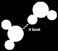 elements, and all have lone-pairs when bonded When H is bonded to N, O or F, the electrons in the bonded are strongly
