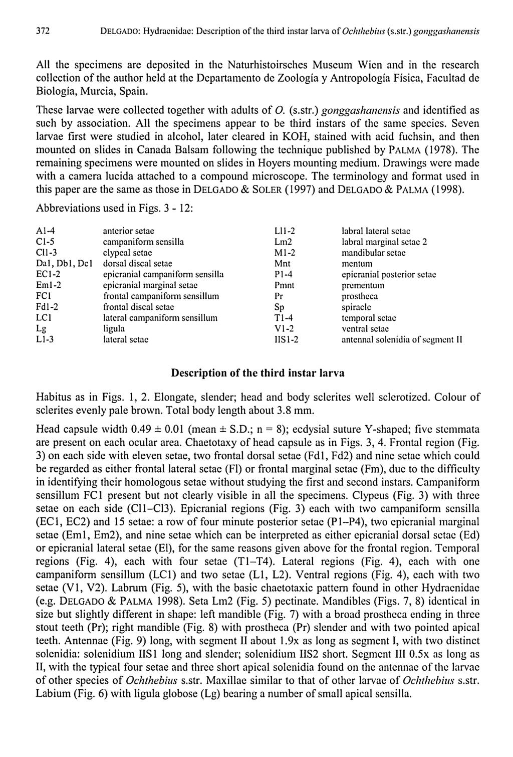 372 DELGADO: Hydracnidac: Description of the third instar larva of Ochthebins (s.str.