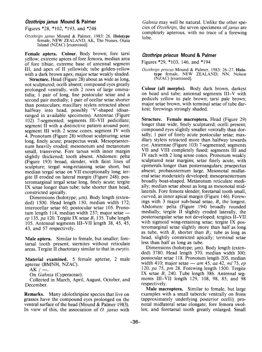 Ozothrips janus Mound & Palmer Figures *28, *102, *193, and *248 Ozothrips janus Mound & Palmer, 1983: 26. Holotype female, NEW ZEALAND, AK, The Noises, Otata Island (NZAC) [examined]. Female aptera.