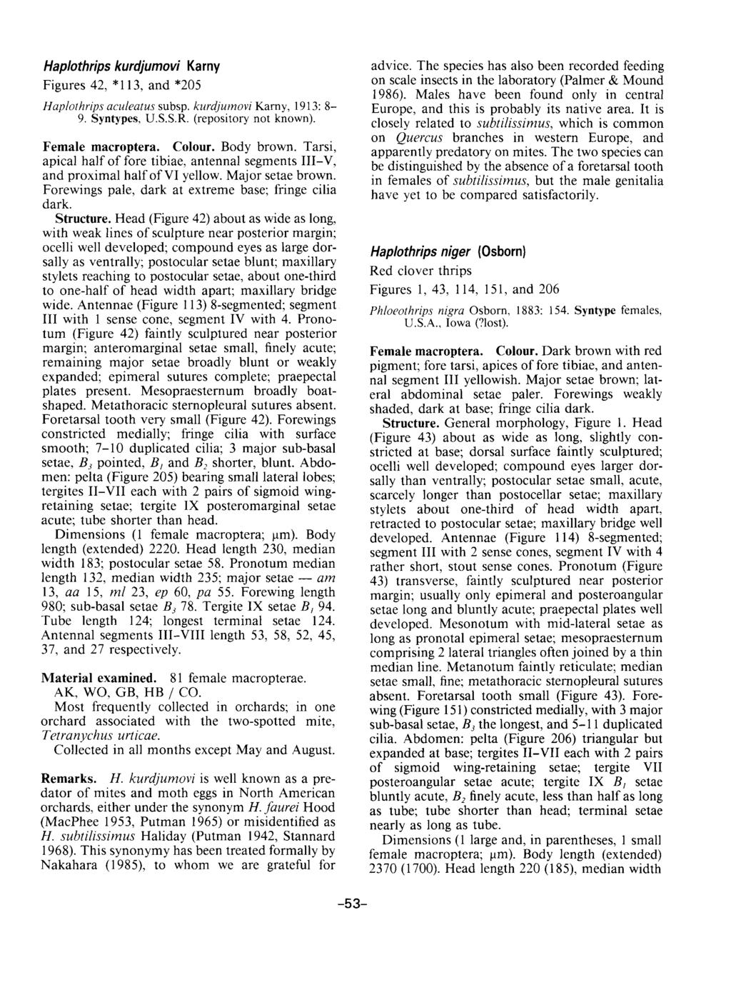 Haplothrips kurdjumovi Karny Figures 42, *113, and *205 Haplothrips aculeatus subsp. kurdjumovi Karny, 1913: 8-9. Syntypes, U.S.S.R. (repository not known). Female macroptera. Colour. Body brown.