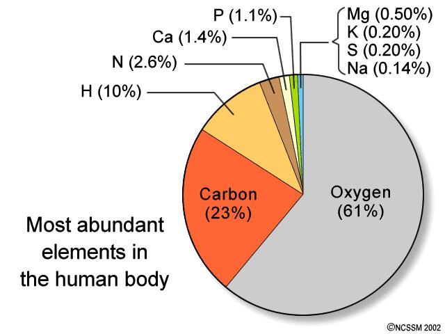 Your body contains billions of hydrogen, oxygen, nitrogen, phosphorus, and carbon atoms. The two most common elements in the Earth s crust are oxygen (47%) and silicon (28%).