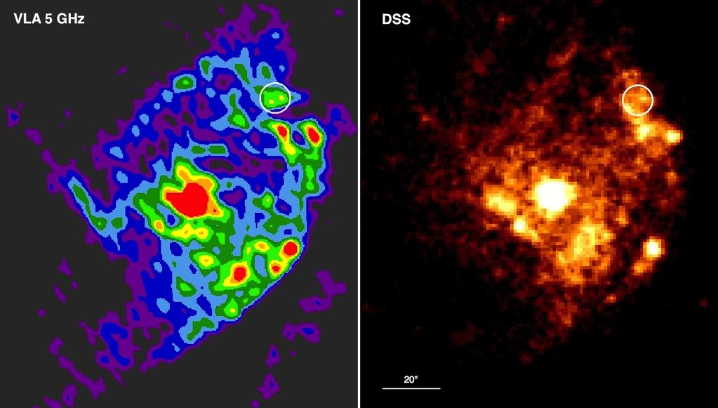6 M. Mezcua et al. Figure 3. Left: VLA CnB-array image at 5 GHz of NGC 2276. Same rms noise and beam size as in Fig. 1. Right: Digitized Sky Survey (Lasker et al. 1990) image of NGC 2276.