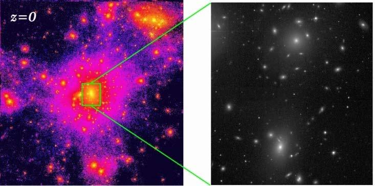 Galaxy groups/clusters share dark matter halos