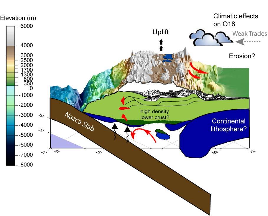 Key Questions in the Central Andes Geodynamic processes for building the Andean plateau?
