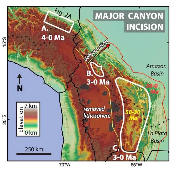 Pliocene recent incision of the NE Andean plateau Surface uplift in the northernmost