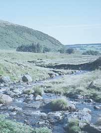The long profile of a river Upland valley Upper course 250 m 200 m 150 m 100 m Middle section Height (metres above sea level) V-shaped valley, the Scottish borders The river runs downstream from its