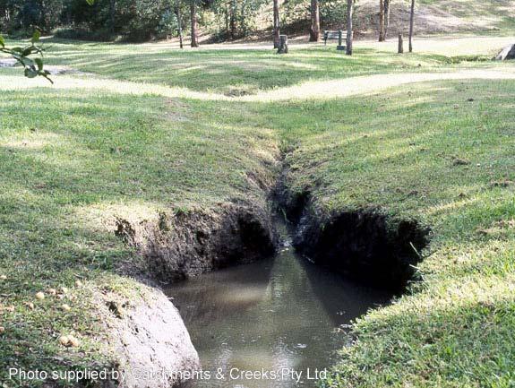 Gully erosion is best characterised as a bed instability that subsequently causes in bank instabilities.