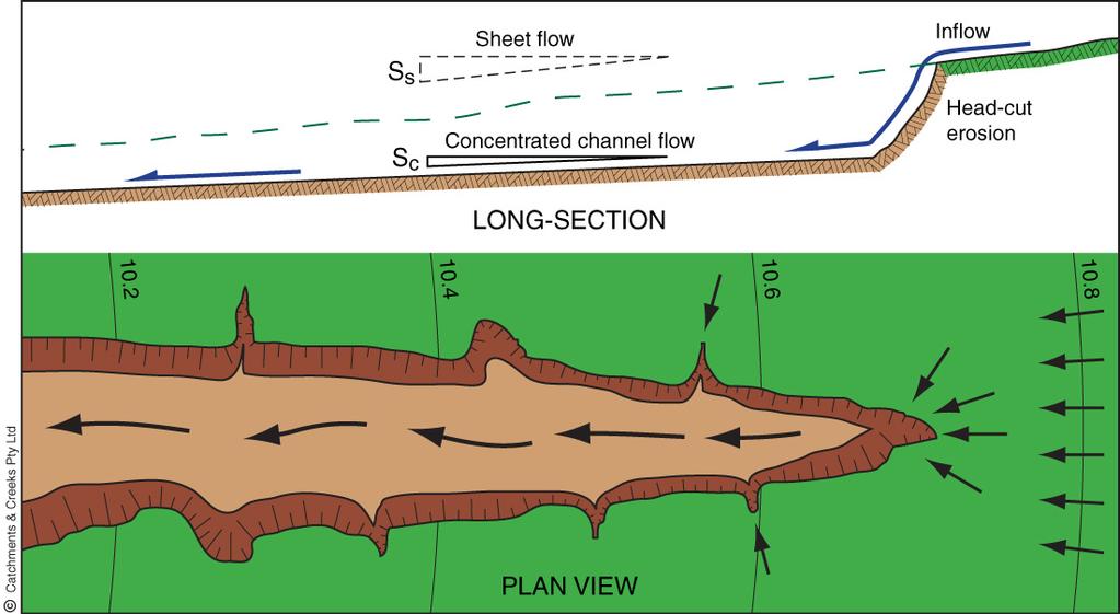 Figure 3 The gully banks usually experience ongoing erosion caused by surface runoff