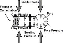 Figure 7: Downhole forces acting on a single clay platelet of shale [2] 3.1.