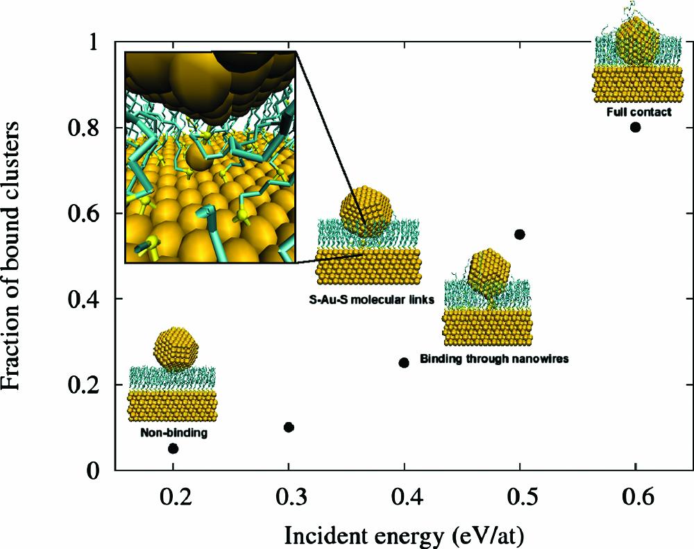 APPLICATION FOR THIOL-GOLD DESCRIPTION From Binding of deposited gold clusters to thiol self-assembled monolayers on Au(111) surfaces by Leila