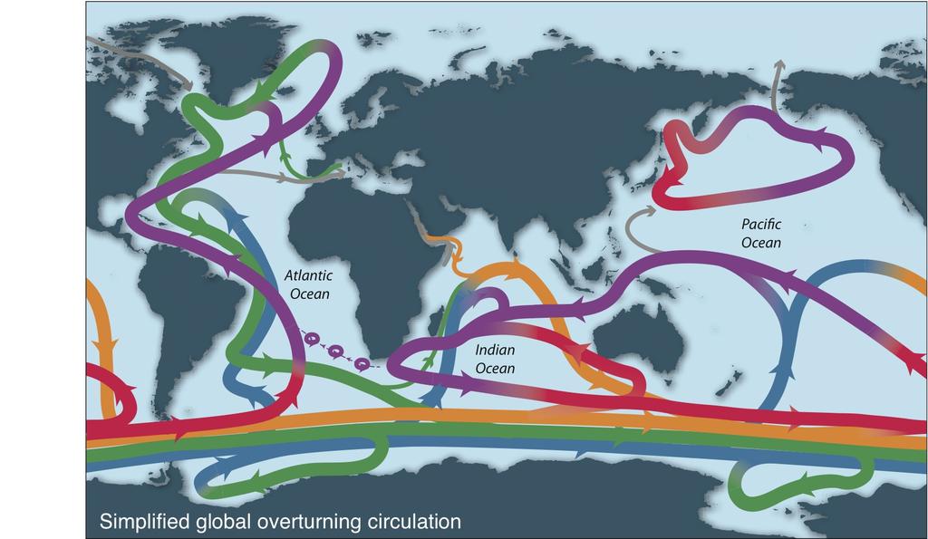 Figure 1. Schematic of the global overturning circulation ( GOC ).