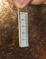 Take a Initial Measurement of the Caterpillars (In groups) A. Make a Measuring Tool (one per student) A toothpick makes a simple tool for measuring the caterpillars. Use the ruler cutout sheet.