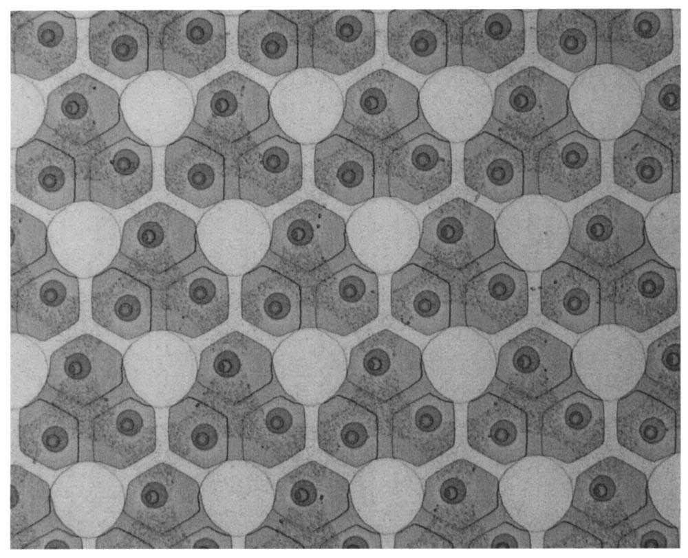FIG. 4. Lumped equivalent circuit of a single cell for the coupling factor calculation. FIG.. Top view of a CMUT, consisting of a -D array of circular membranes.