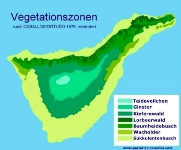 Vegetation zonation http://www.