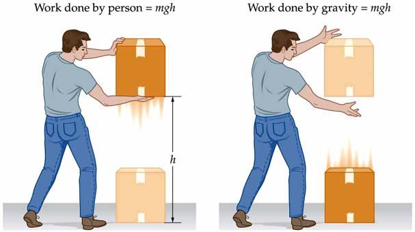 Work Against & By Gravity In lifting an object of weight mg by a height h, the person doing the lifting does an amount of work W = mgh.