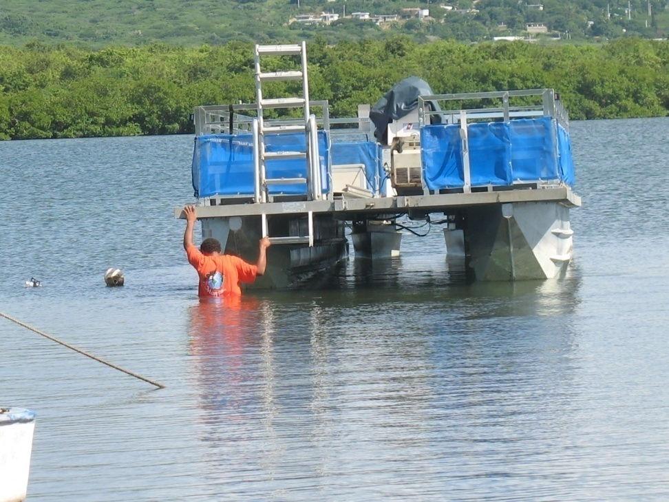 Research Projects Presence of heavy metals in La Parguera Bioluminescence Bay in Lajas, and Puerto Mosquito Bay in Vieques Differences in the characteristic of