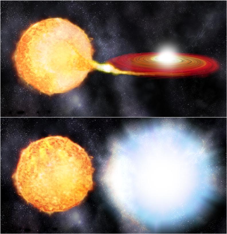 Type Ia Supernova White dwarf