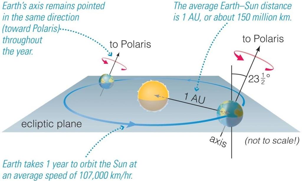 Earth orbits the Sun (revolves) once every year The time it takes the Earth to complete one orbit around the Sun is called the orbital period ( ~365 days) The average distance between the Earth and