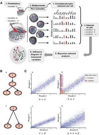 Major challenges and limitations Data is the limit!!! Functional genomic data (Interactomes) E.
