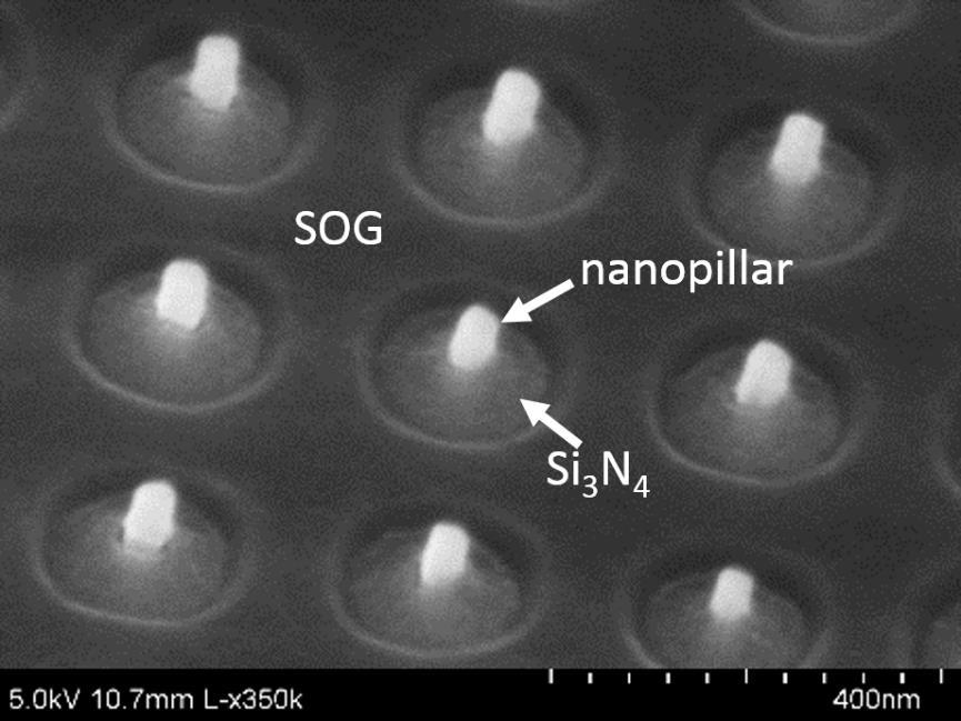 SEM image of a nanopillar array after plasma