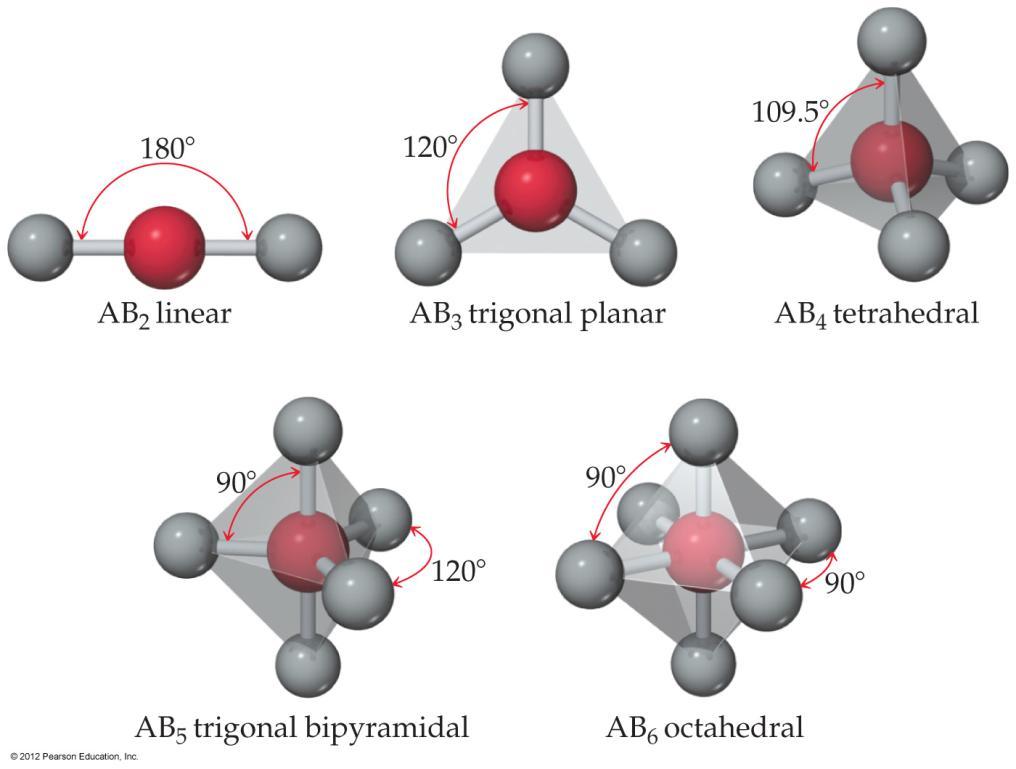 What Determines the Shape of a Molecule?