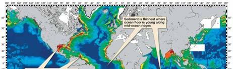 Sediments Represent Surface Ocean Conditions Microscopic