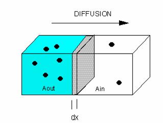 Vapour transport Transport mechanism Gas diffusion (Fick) Effusion (Knudsen) Convection