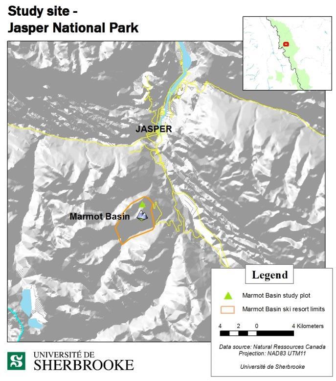 Common thermal inversions and influence of oceanic air masses combined with orographic effect in mountainous areas lead to frequent instability developments in the snowpack (Germain, 2007).