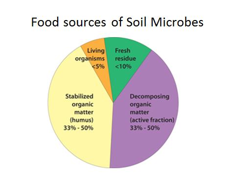 Separate microbes from soil Filtration Cost Clogging Steps Loss