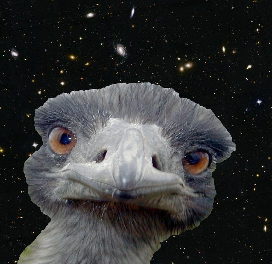 The Cosmic Emu(lator) http://www.lanl.