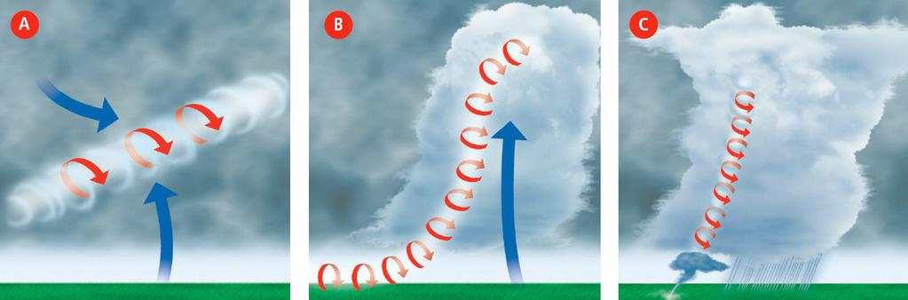Extreme Weather When strong horizontal winds hit the rapidly rising air in a thunderhead, funnel clouds can result. Strong winds tilt the funnel cloud (A).