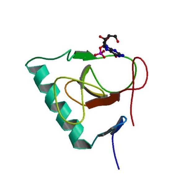 org/pdb/) Usually, simulations are performed for the biological units of