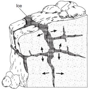 The action of the root splitting the bedrock is an example of A) chemical weathering B) deposition C) erosion D) physical weathering Which statement best describes the physical weathering shown by