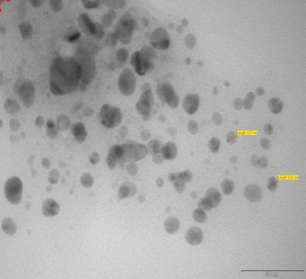 Figure 8: TEM image of Ag NPs A TEM image recorded from the silver was coated on carbon coated copper TEM grid is shown in Figure 8. The morphology of the nanoparticles was spherical in nature 25.