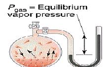 Unit 3: States of Matter 0.8: Vapour Pressure Vapour Pressure: - the pressure existed above a liquid when its rate of evaporation is the same as the rate of its condensation.