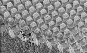 Example: Lead Zirconate Titanate (PZT) SEM image of an etched feature in PZT ceramic substrate with feature dimensions of 3 x 15 μm.