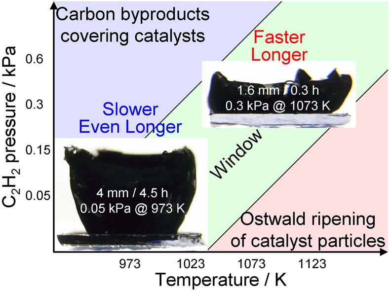Lower Temperatures Taller but Slower "Half-Centimeter-Tall Single-Walled Carbon Nanotubes Growing Taller at