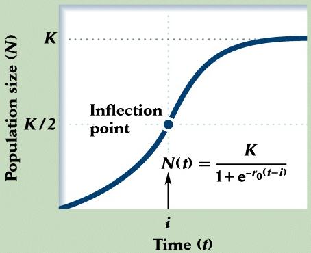 The Logistic Growth Model Density dependence K/2 No density dependence Logistic Growth Curve Graph of population size (N) versus time (t) for logistic growth features S-shaped curve