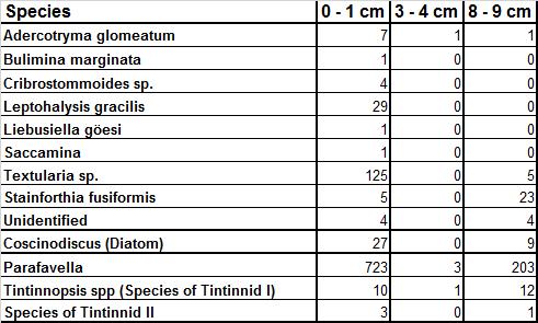 Appendix Table 1 Volume in ml of the sediment at every cm of the sample (Kistadypet).