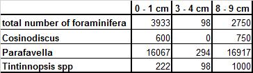 Table 4 Summed up amount of Foraminifera, Coscinodiscus and Tintinnids in (fine fraction - Kistadypet).