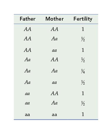7.10 a. Here is a table describing the fertility of each family: b. If A is rare, Aa aa families will be less fertile than aa aa families. Therefore, A will tend to decrease in frequency.