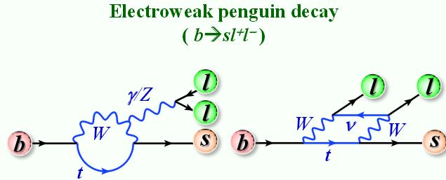Electroweak penguin decays :B X s l + l - Forbidden at tree level,