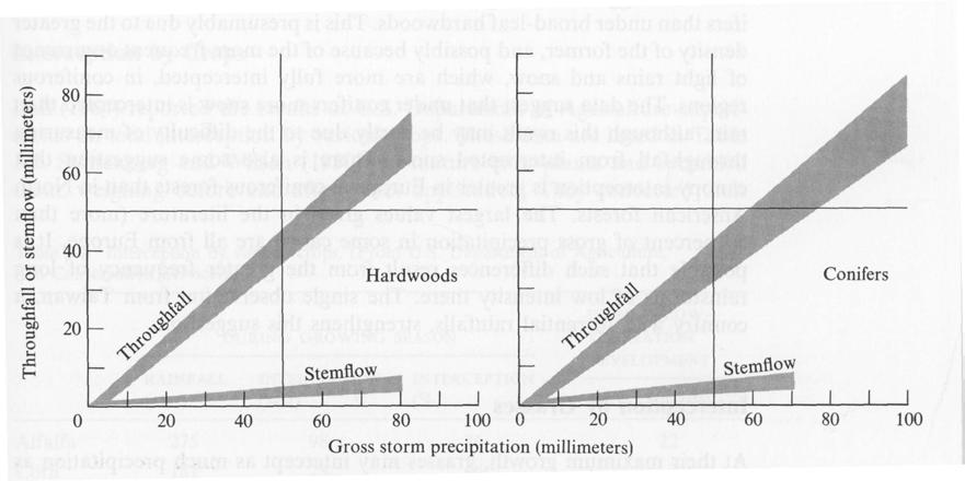 3-3 Interception by forests The amount of throughfall and stemflow for individual storm increases with gross precipitation. Deciduous and coniferous trees have similar canopy interception.