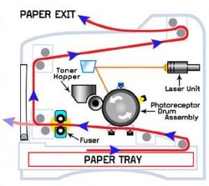 18: Matrični štampač Epson LQ-570 Kod laserskih štampača laserski zrak prelazi preko pozitivno naelektrisanog rotirajućeg doboša i oblast pogo dena zrakom gubi naelektrisanje i pozitivno