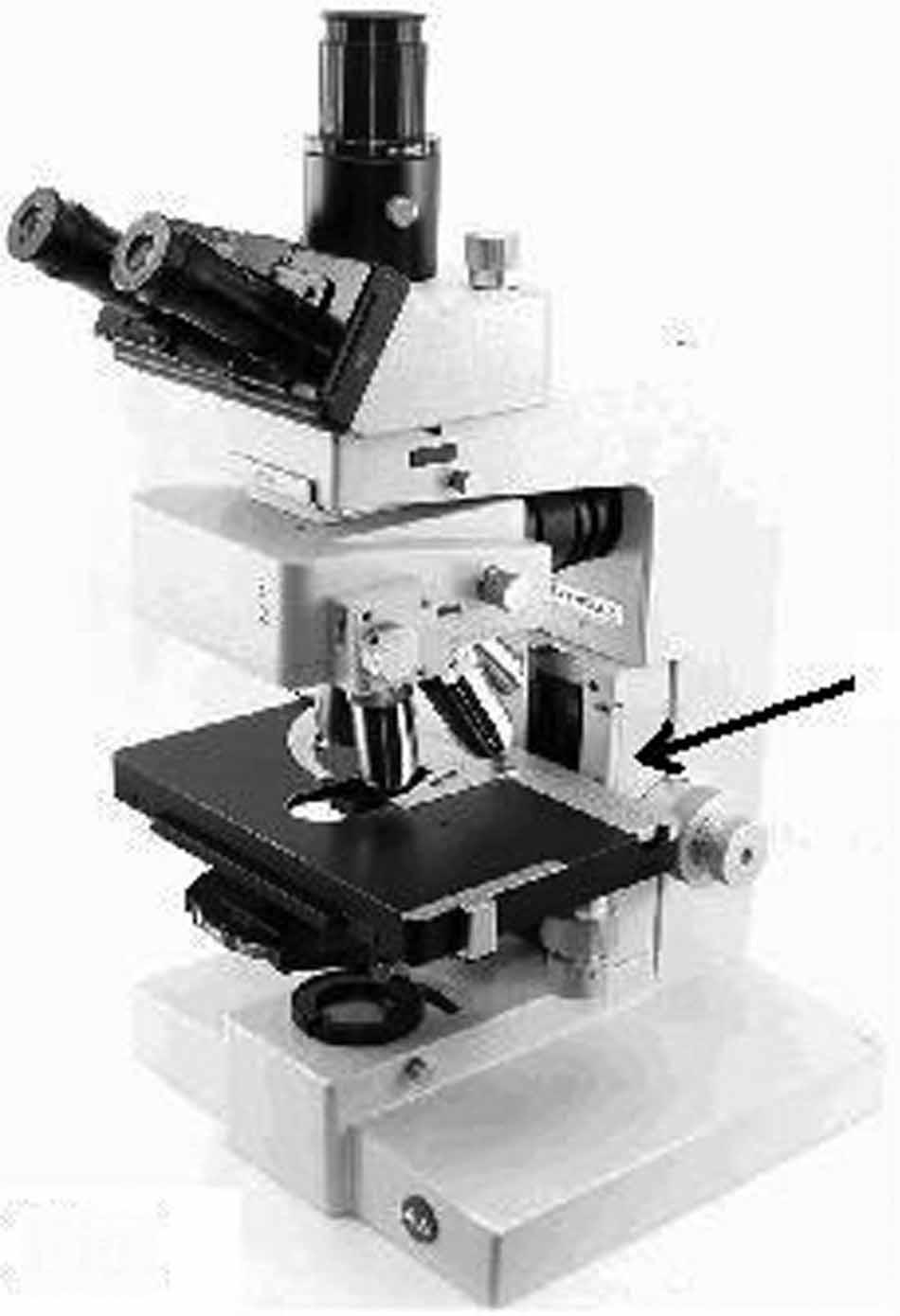 Method for locating light-microscope specimens 93 Downloaded by [Saúl Blanco] at 09:38 26 May 2012 Fig. 3. Microscope stand with slide support (arrow) opposite the eyepieces.