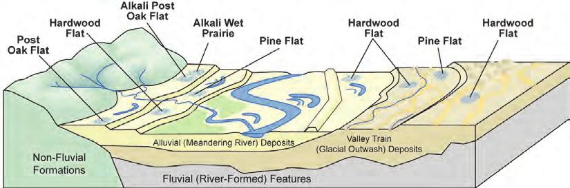 ERDC/EL TR-13-14 30 Figure 7. Common landscape positions of wetland community types in the Flat Class. hardpan.
