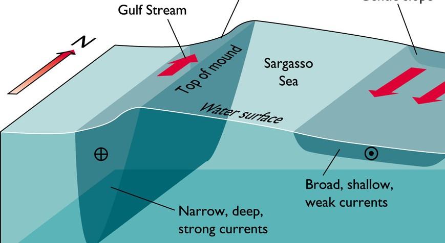 How can ocean dynamics affect coastal sea level?