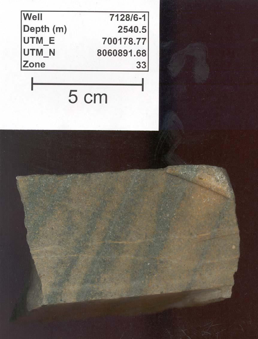 7128/6-1, 2540.5m Finnmark Øst area, Finnmark Platform, Barents Sea Fine-grained, layered metasandstone, with alternating layers of rusty brown sandstone (0.5 1.5 cm thick) and grey sandstone (0.